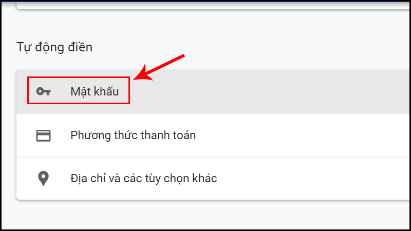Chọn Mật khẩu trong mục Tự động điền